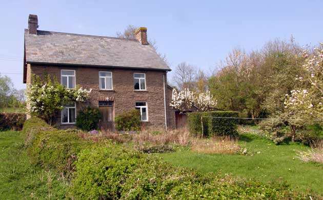 Jackson International