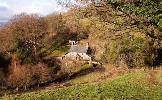 Jackson Stops & Staff