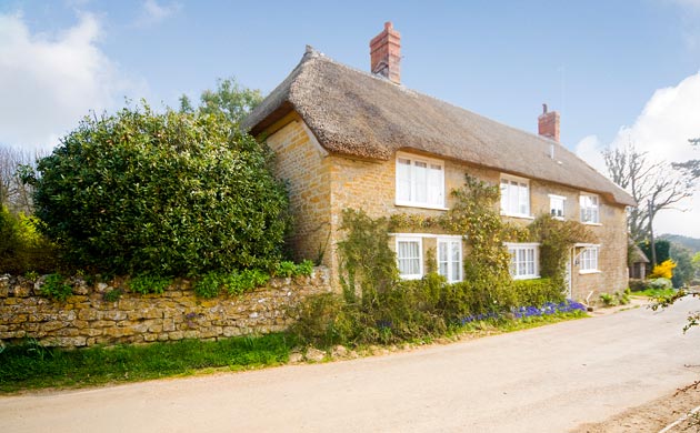 Jackson Stops & Staff