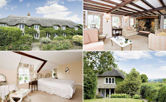 Jackson-Stops & Staff