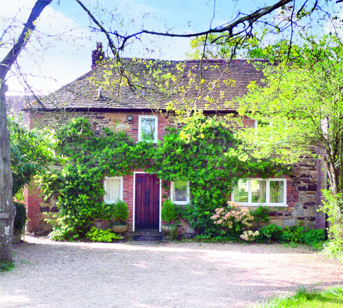 Jackson-Stops & Staff