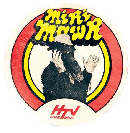 Pieces of me Gruff Rhys