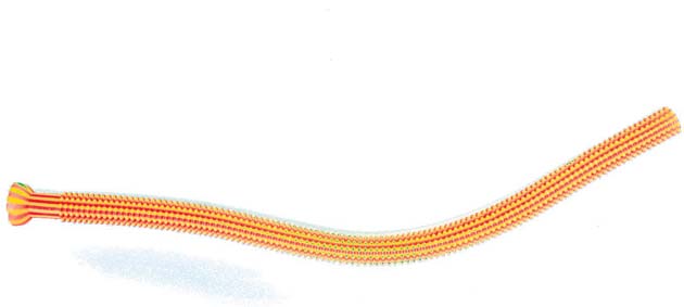 Pieces of me Gruff Rhys