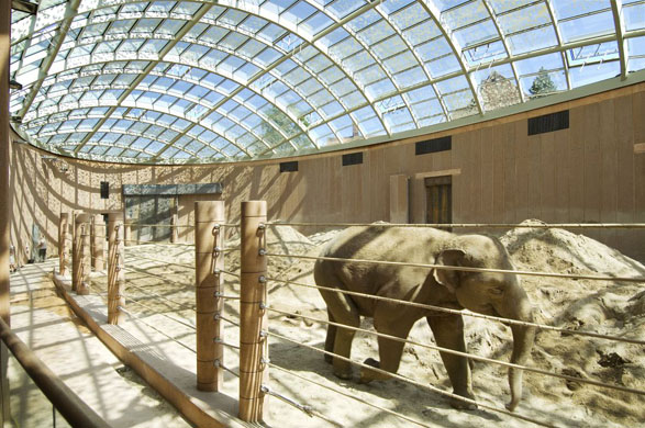 Zoo de Copenhague [ZdR] GD7586818@An-elephant-in-the-ne-5821