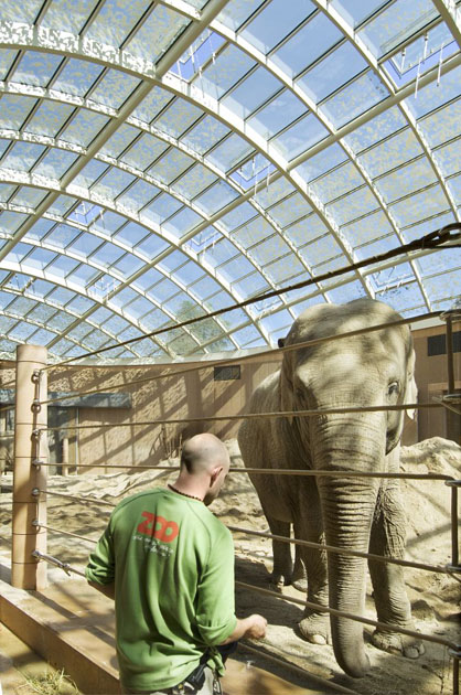 A keeper inside the Copenhagen Elephant House