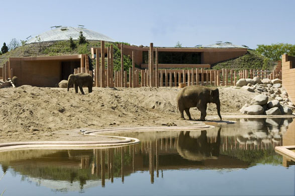 The landscaped paddock, Copenhagen Elephant House