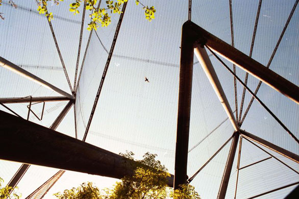 Snowdon aviary at London Zoo 
