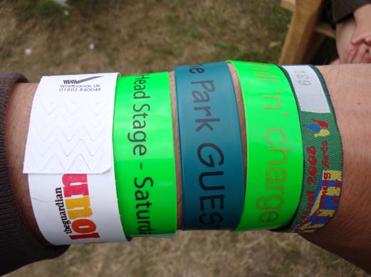 Duke Spirit's pictures