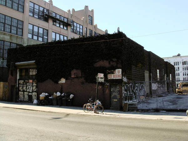 pictures taken by Jack from Foals