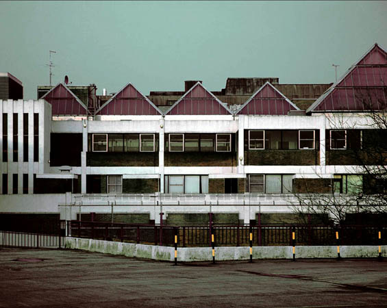 pictures taken by Jack from Foals