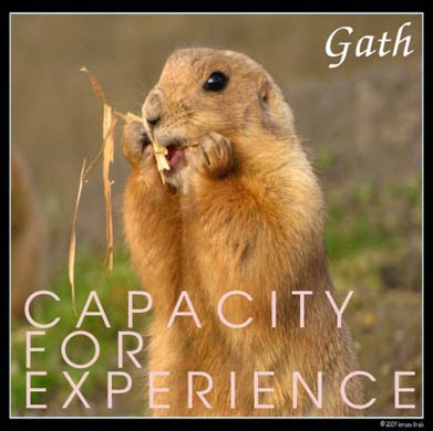 Random album artwork