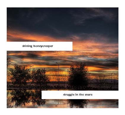 Random album artwork