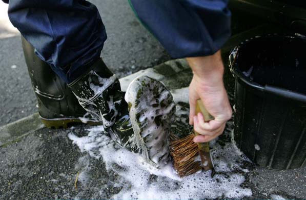 An animal health inspector disinfects his boots