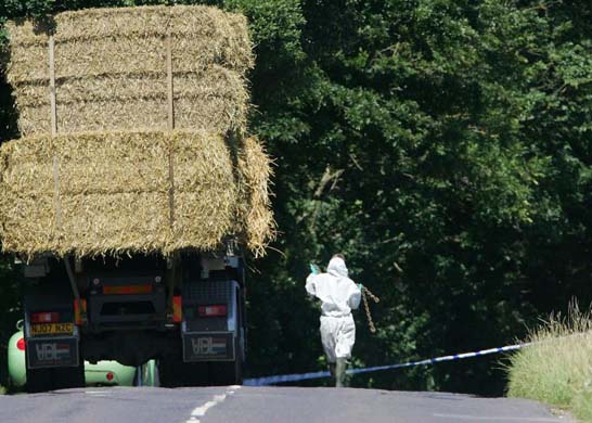 Hay being brought into the farm