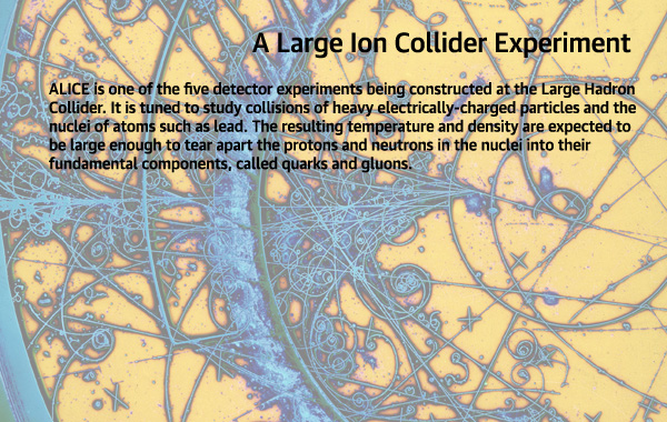 ALICE explainer