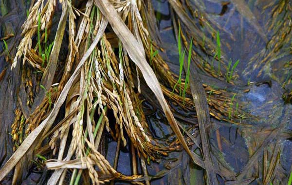 Bishan County, China