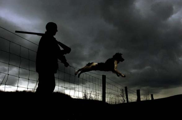 Declan Healy with his springer spaniel Finn in Glenaan