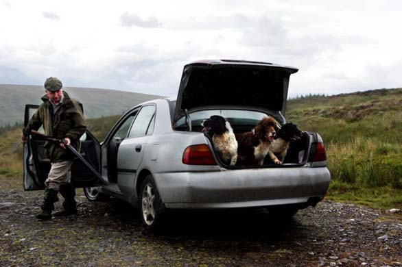 Danny Healy with Finn, Midge and Spot