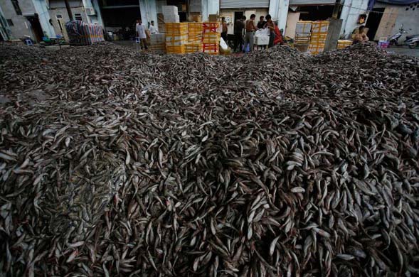 Workers prepare to sort seafood unloaded from fishing boats