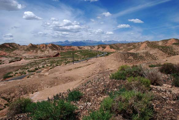 Orange earth and green scrub scenery of Gansu