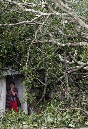 A woman peers from behind a tree that felt on her house 