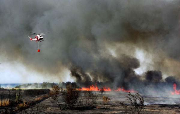 A helicopter tries to extinguish a fire in a natural oasis