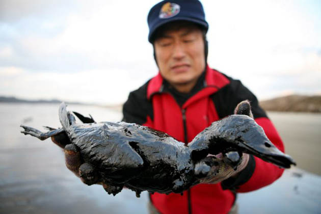 South Korea oil spill