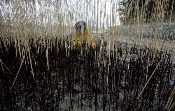 Shinduri beach, South Korea