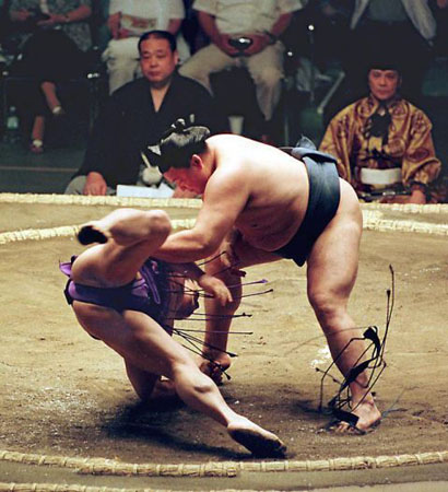 Koji Takanohana and Masaru Wakanohana