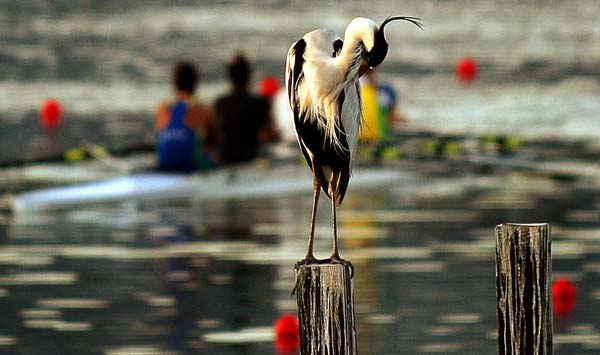 Rio de Janeiro, Brazil