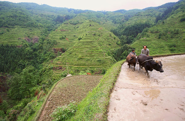 Congjiang County, guizhou province