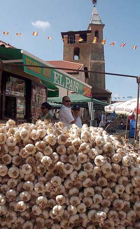 Santa Marina del Rey, Spain