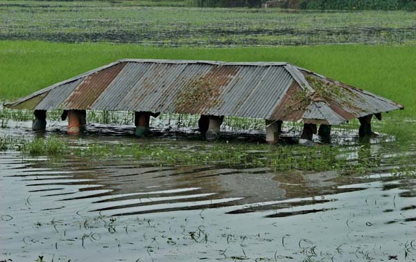 Hatsherpur, Bangladesh