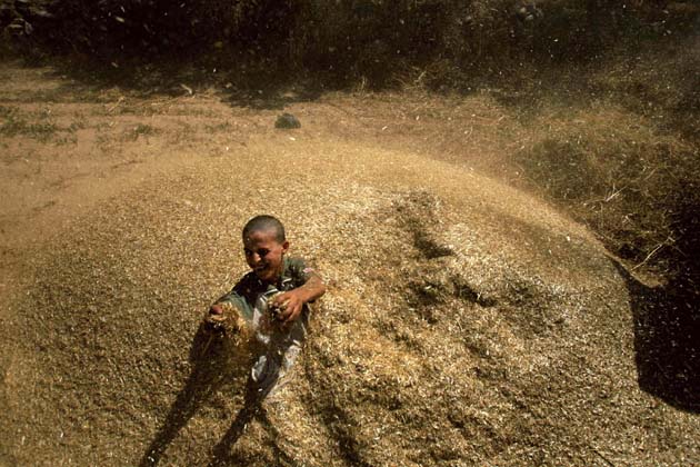 Beit Liqqiya, West Bank