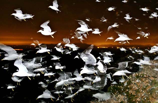 Tongyong, South Korea