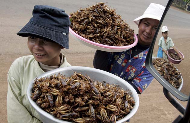 Kompong Thom province, Cambodia