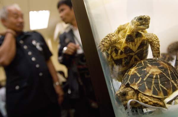 Kuala Lumpur, Malaysia