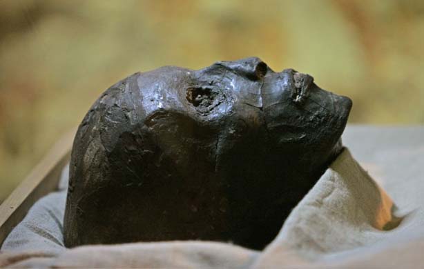 Mummy of King Tut