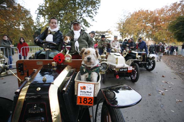 More cars awaiting the start of the race
