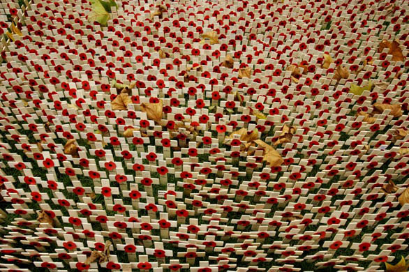 Some of the thousands of wooden crosses, each decorated with a poppy and bearing the name of a fallen soldier, stand in the Field of Remembrance at Westminster Abbey