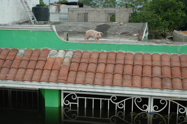 Flooding in Villahermosa, Mexico