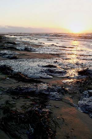 Oil on the sea shore