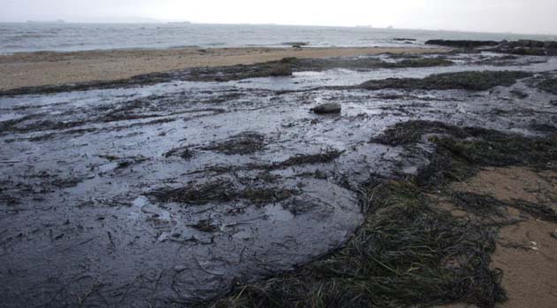 Oil on the beach