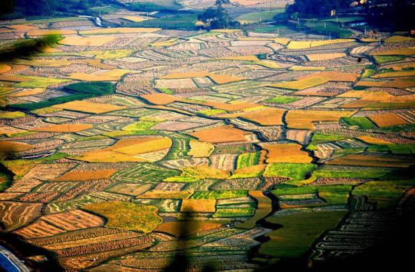 The contrast between before and after harvest in the fields in Rongshi Miao Autonomous County