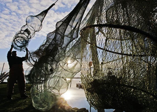 Joern Ross adjusts his fish traps by the Schlei river