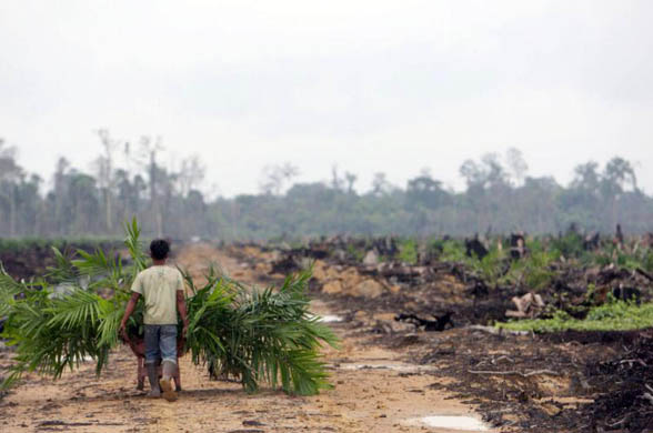 24 hours in pictures