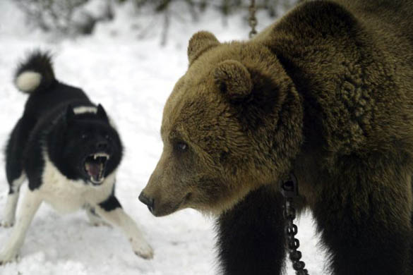 24 hours in pictures