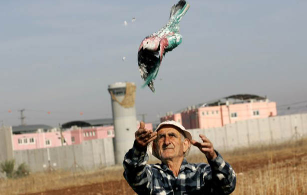 24 hours in pictures