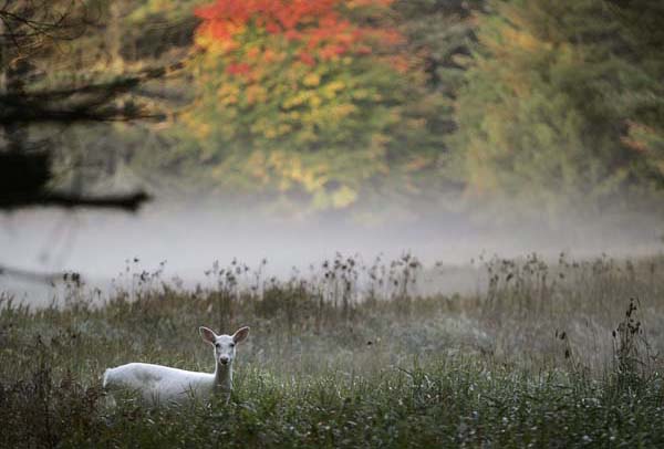 Boulder Junction, USA