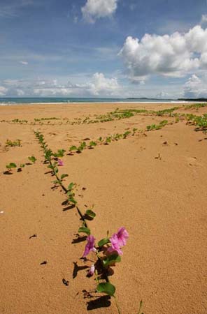 Luquillo, Puerto Rico,